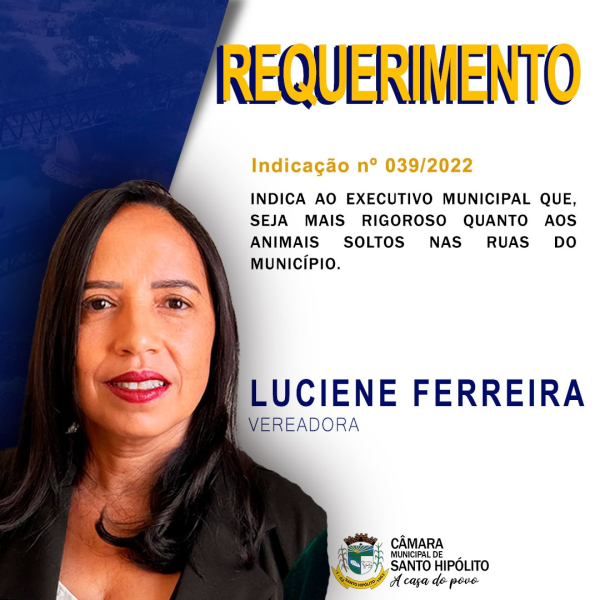 REQUERIMENTO