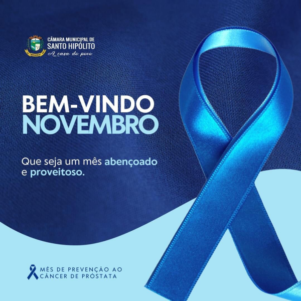 SEJA BEM VINDO NOVEMBRO!