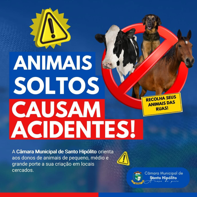 ANIMAIS SOLTOS CAUSAM ACIDENTES!